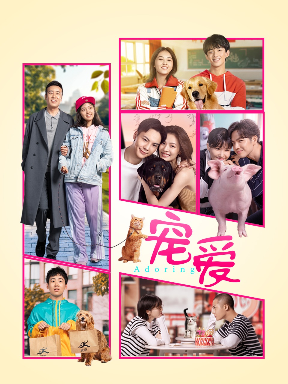 宠爱封面图