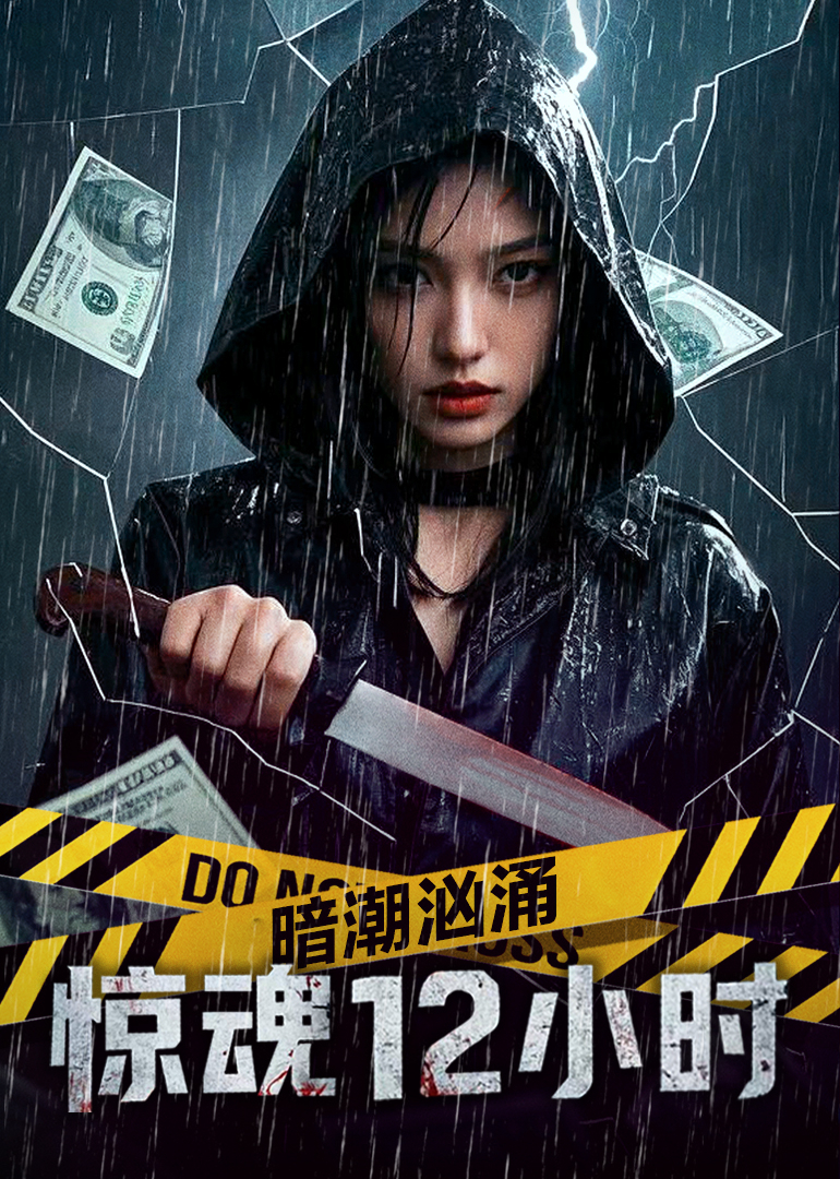 暗潮汹涌之惊魂12小时封面图