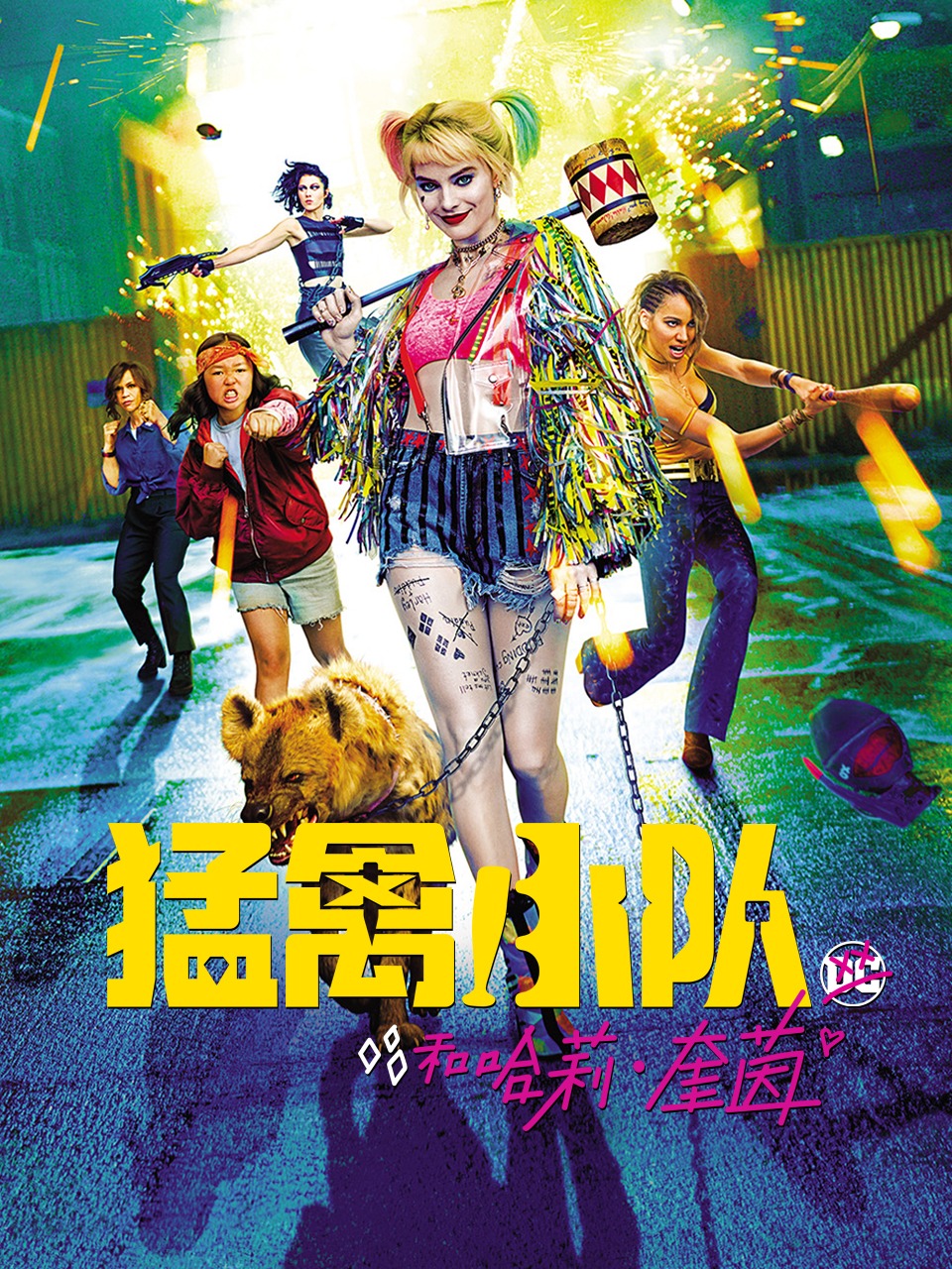 猛禽小队和哈莉奎茵封面图