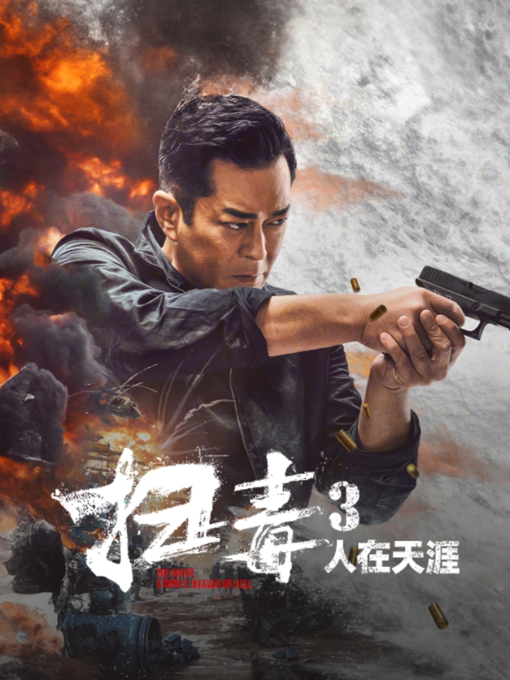 扫毒3：人在天涯封面图