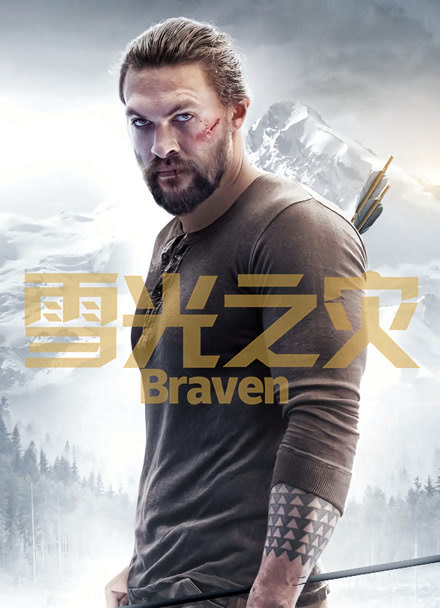 雪光之灾封面图