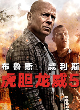 虎胆龙威5封面图