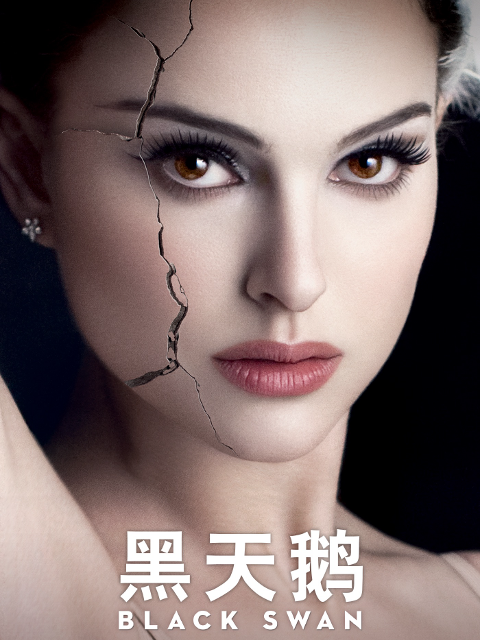 黑天鹅封面图