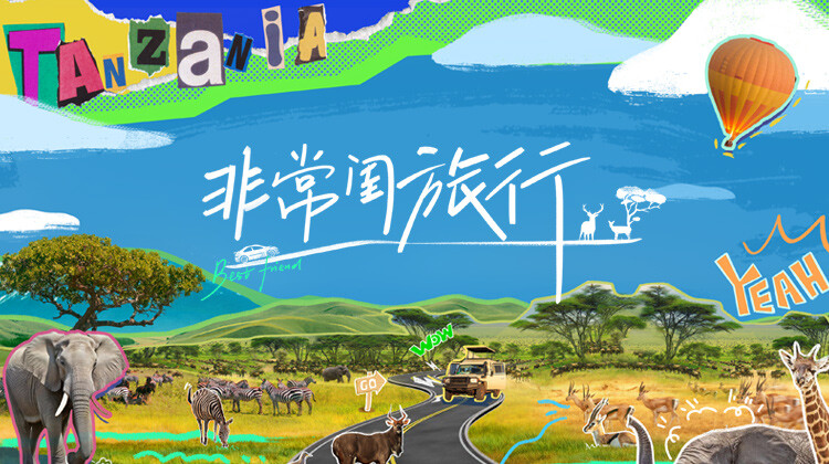 非常闺旅行封面图