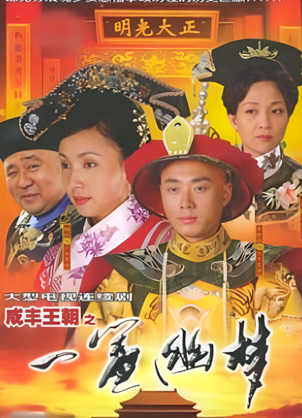 一帘幽梦封面图