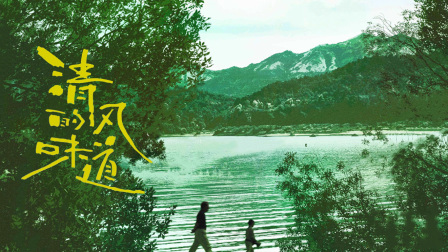 清风的味道封面图