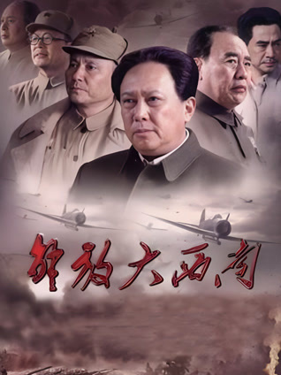 解放大西南封面图