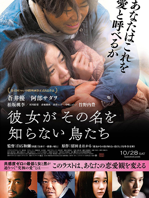 她不知道名字的那些鸟儿封面图