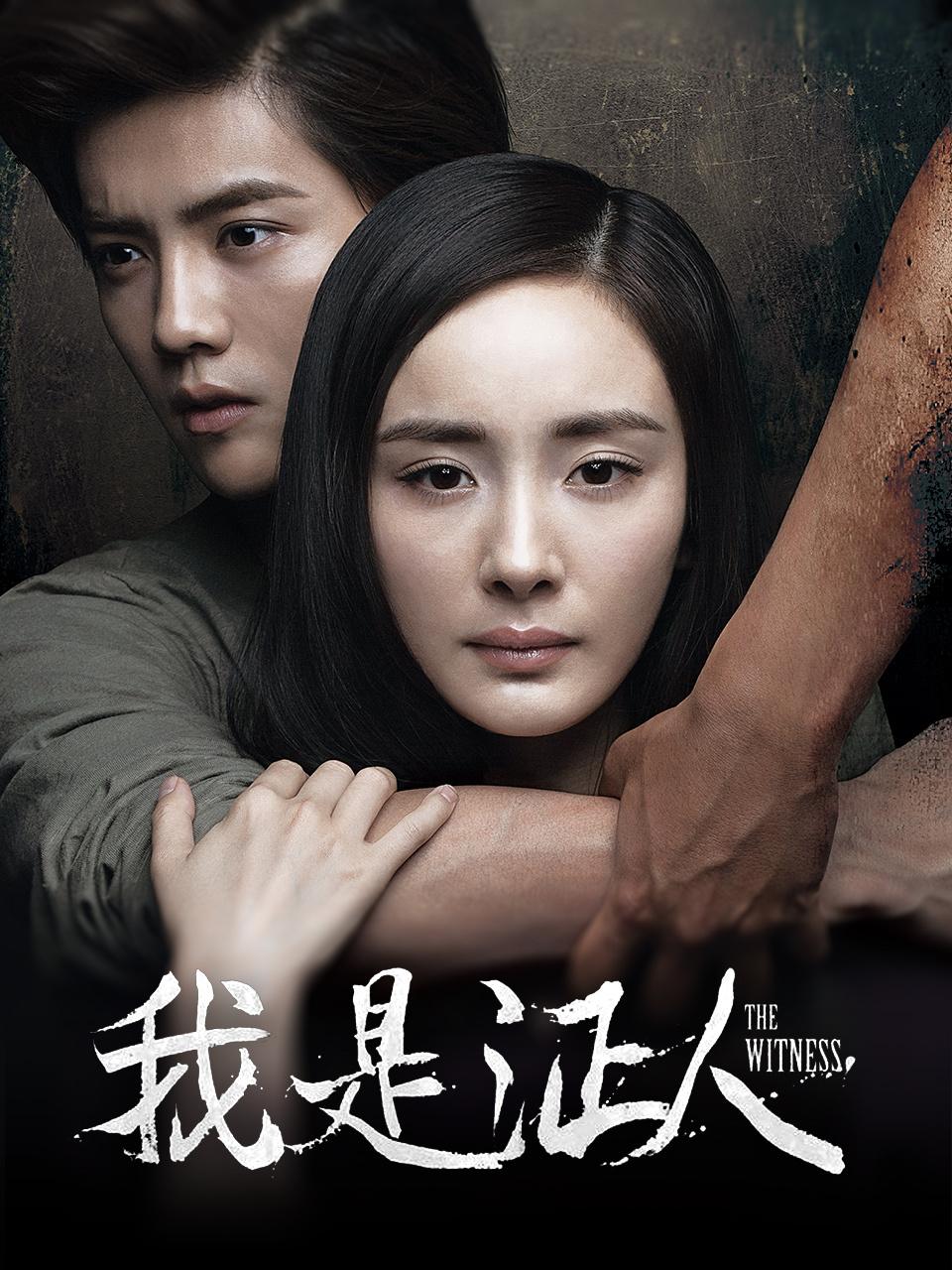 我是证人封面图