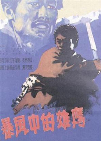 暴风中的雄鹰封面图