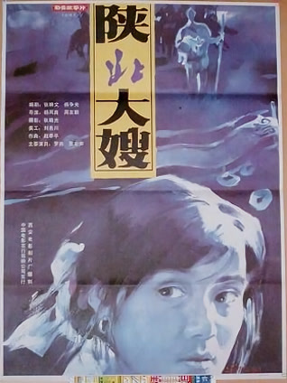 陕北大嫂封面图