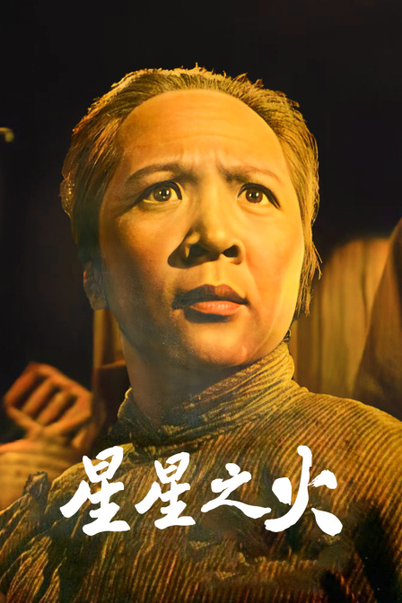 星星之火封面图