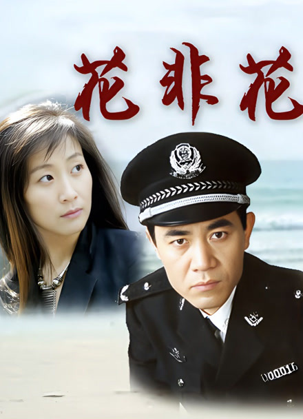 花非花封面图