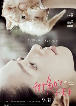 街角的小王子封面图