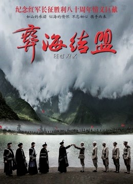 彝海结盟封面图