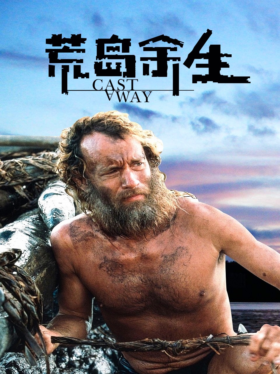 荒岛余生封面图