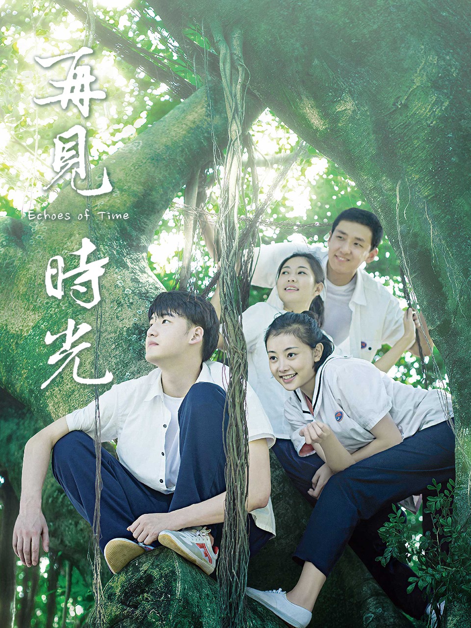 再见时光封面图