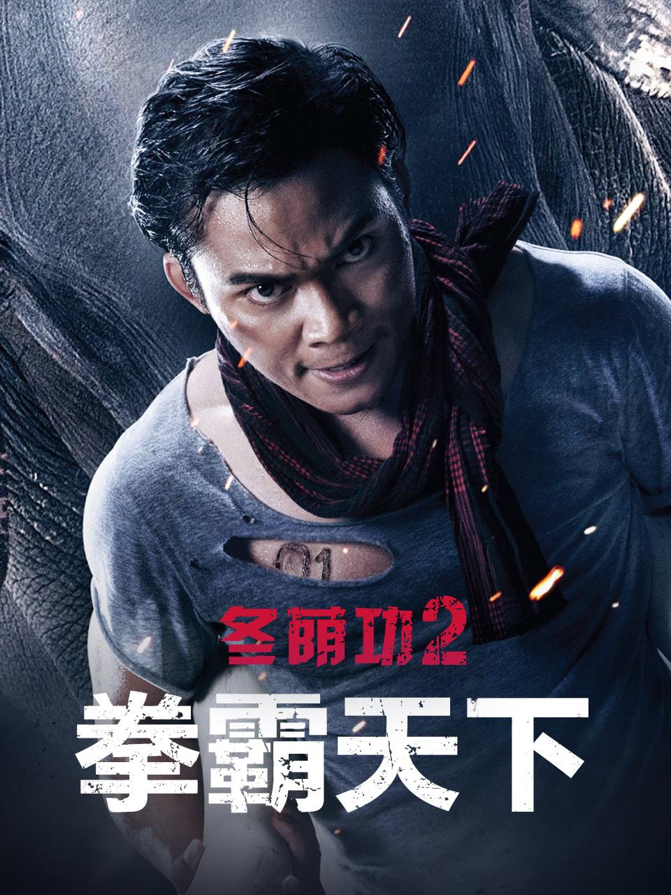 冬荫功2：拳霸天下封面图