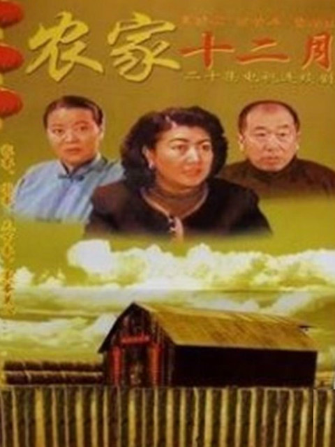 农家十二月封面图