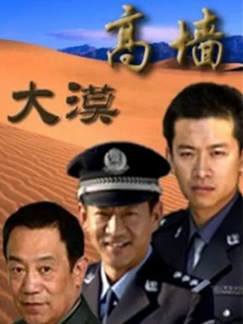 大漠高墙封面图
