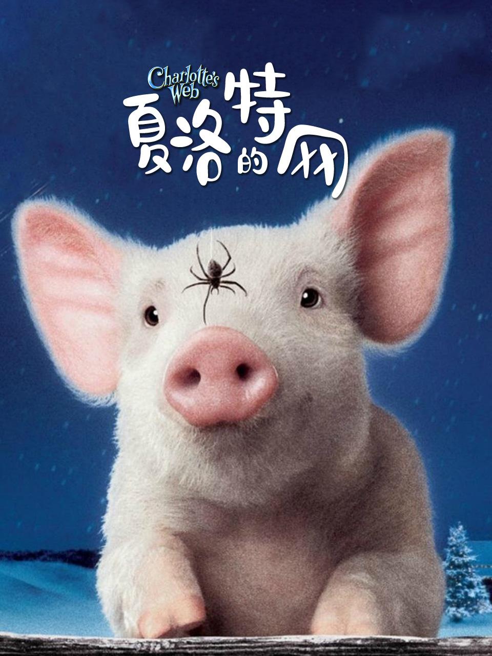 夏洛特的网封面图