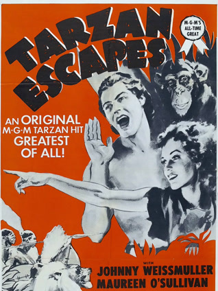 泰山逃亡封面图