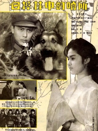 白桦林中的哨所封面图