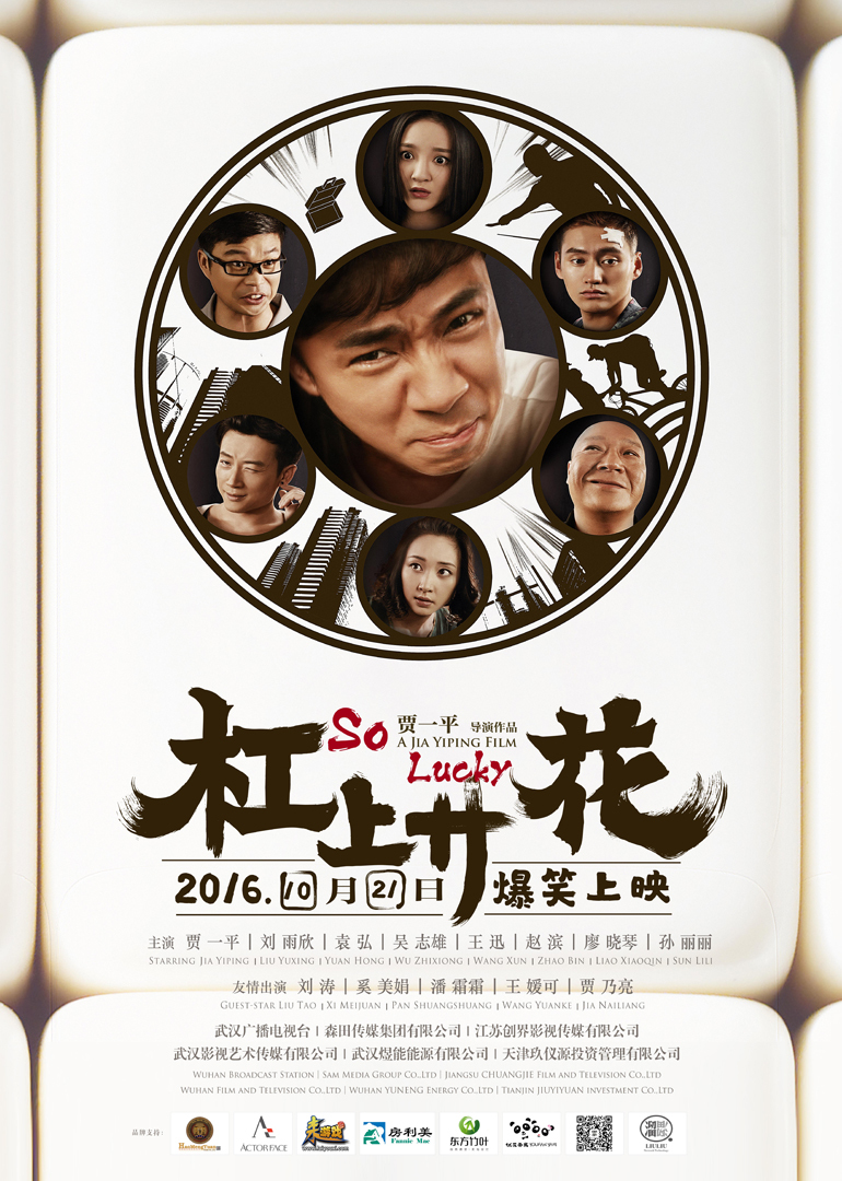 杠上开花封面图