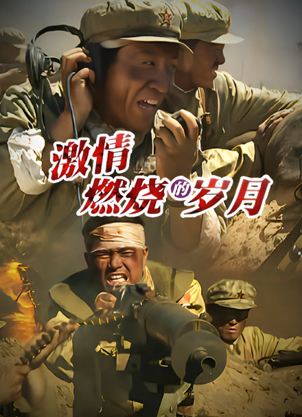 激情燃烧的岁月3封面图