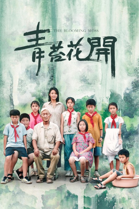 青苔花开封面图
