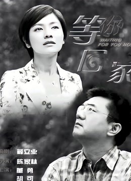 我在等你回家封面图