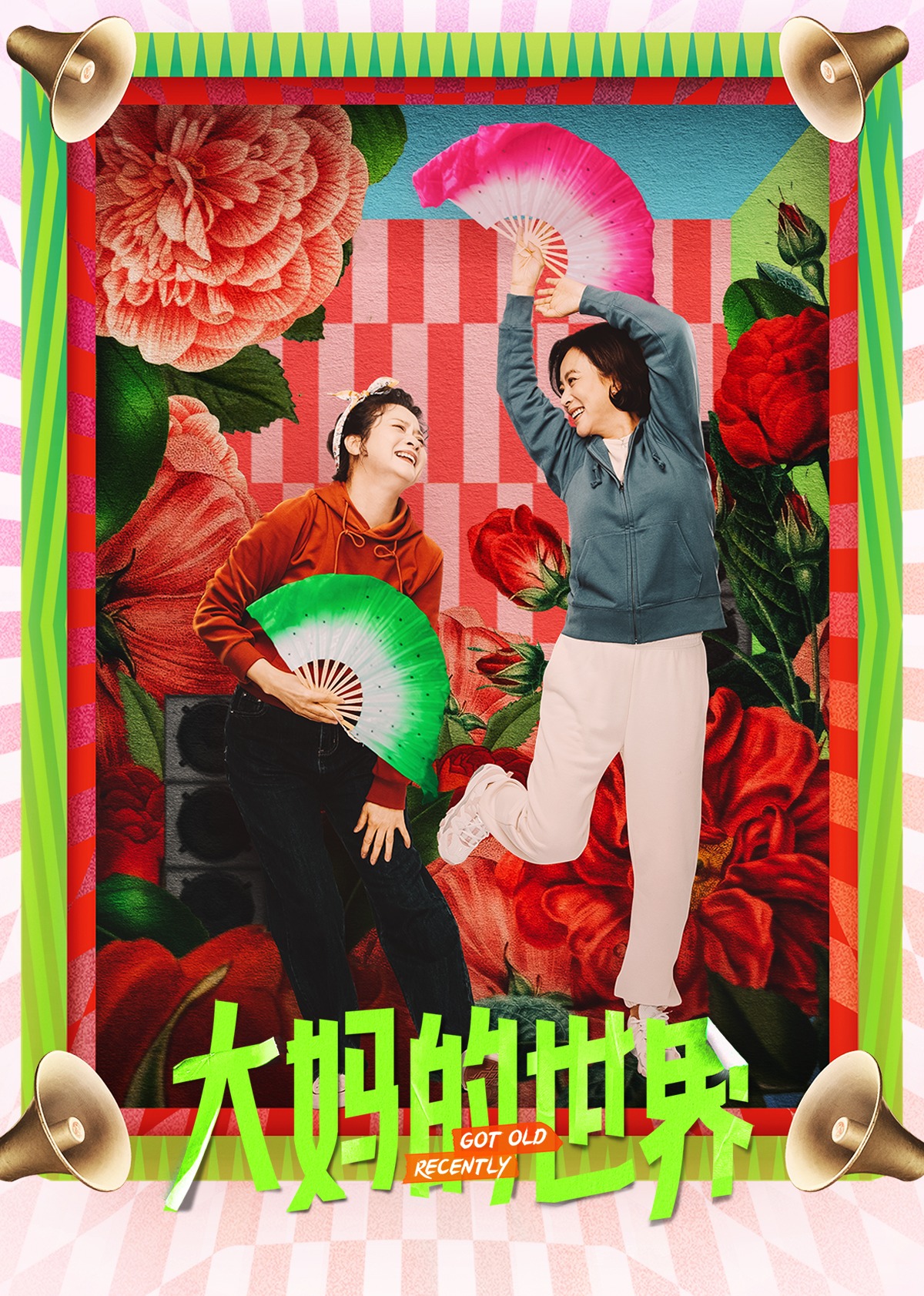 大妈的世界封面图