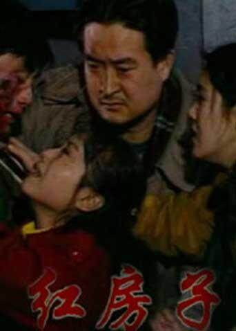 红房子封面图