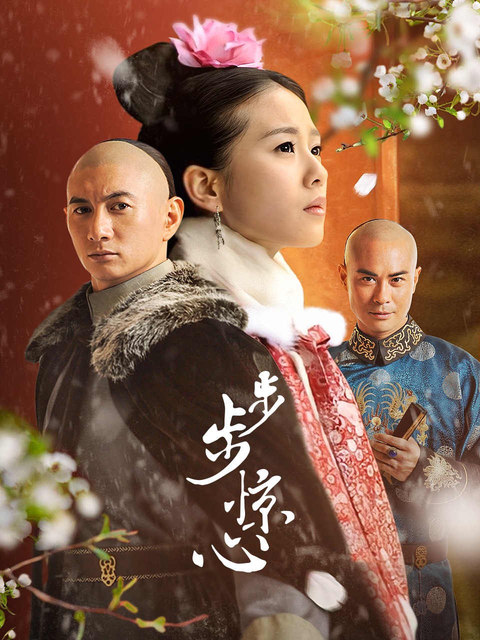 步步惊心封面图