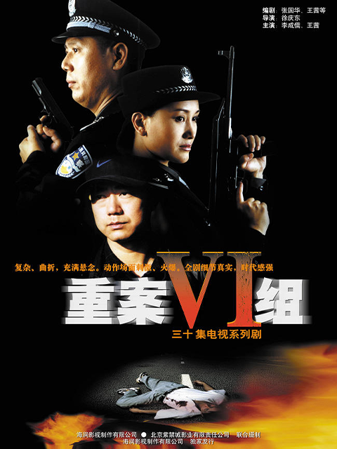 重案六组 第一部封面图
