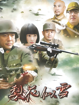 梨花似雪封面图