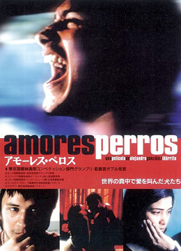 爱情是狗娘封面图