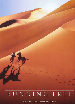 自由飞奔封面图