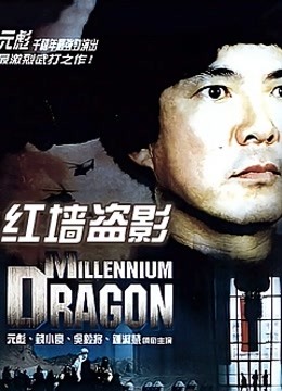 红墙盗影封面图