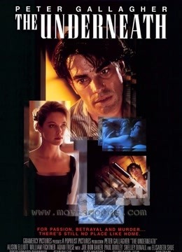 危险狂爱封面图