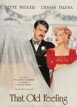 那段旧情封面图