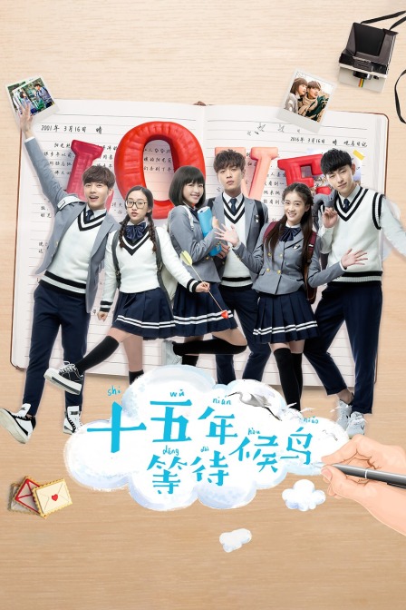 十五年等待候鸟封面图