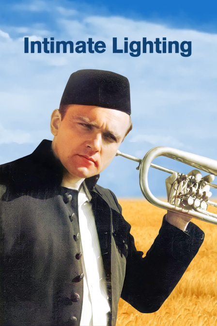 逝水年华封面图