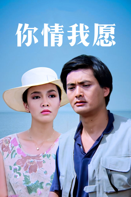 你情我愿封面图