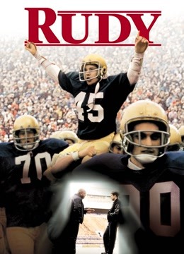 追梦赤子心封面图