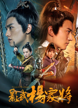 影武杨家将封面图