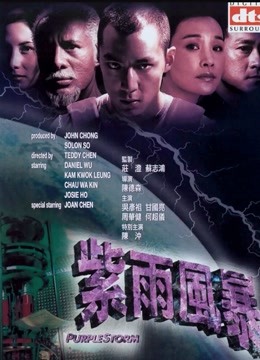 紫雨风暴封面图