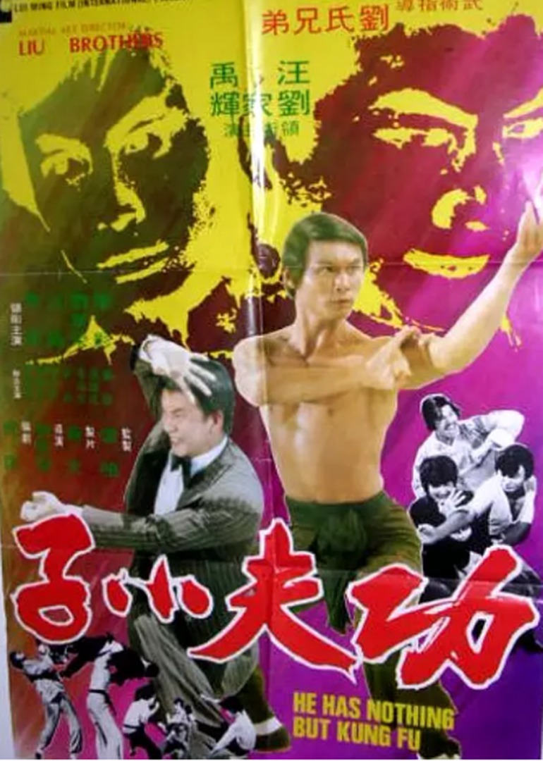 功夫小子封面图