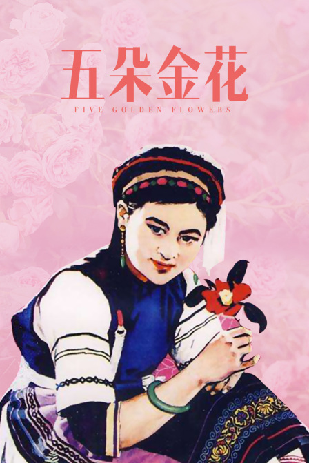 五朵金花封面图