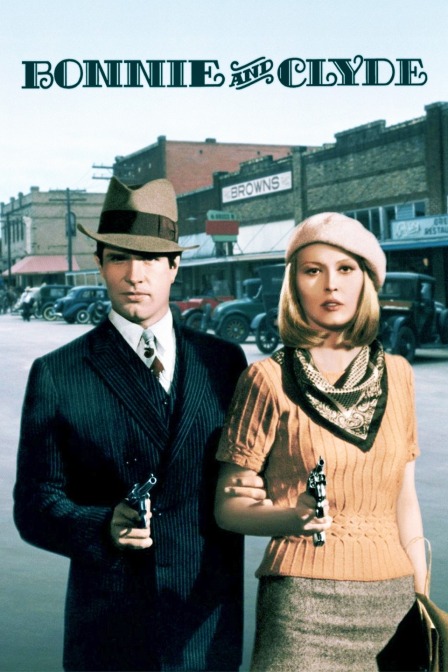 雌雄大盗封面图